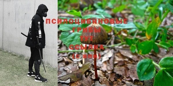хмурый Алексеевка